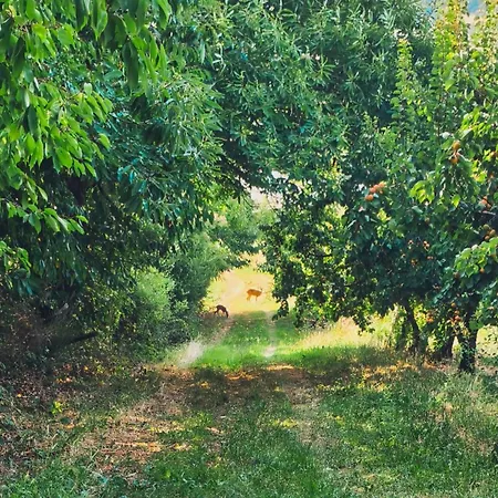 La Ferme De Chenevier, La Roulotte Fleurie 2/4pers