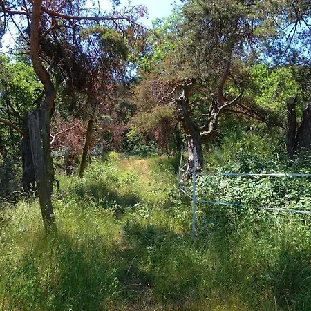 Campismo de Luxo La Ferme De Chenevier, La Roulotte Fleurie 2/4pers